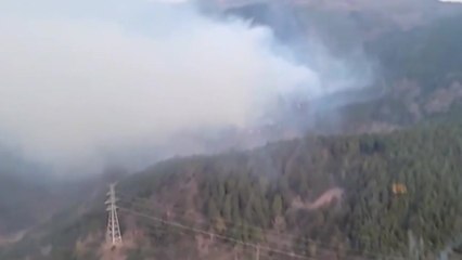 전남 순천 별량면 야산에 불...날 밝자 헬기 14대 투입 / YTN