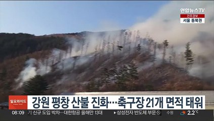 강원 평창 산불 진화…축구장 21개 면적 태워