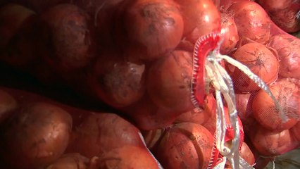 필리핀, 고기보다 비싼 양파...식당 운영 동포들도 비상 / YTN