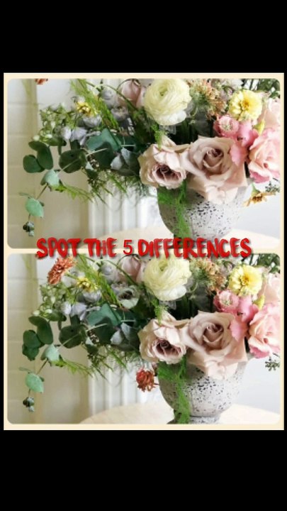 Spot the 5 differences with answer best puzzles find the 5 differences in pictures your challenge solve puzzles
