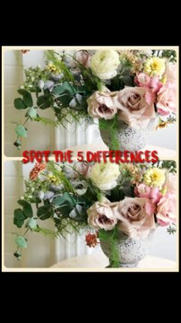 Spot the 5 differences with answer best puzzles find the 5 differences in pictures your challenge solve puzzles