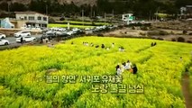 [영상구성] 제주 유채꽃·매화 소식에 '봄 성큼'