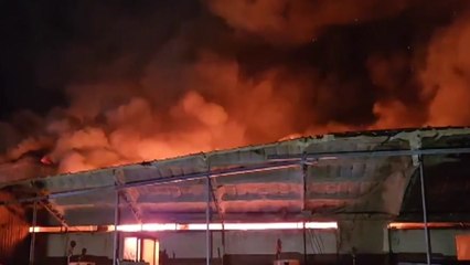 충남 서산 돼지농장에서 불...2천여 마리 폐사 / YTN