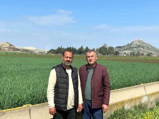 Ceyhan'da toprak yağmurla buluştu, çiftçinin yüzü güldü