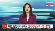 북한, 평북 동창리서 동해로 단거리 탄도미사일 1발 발사