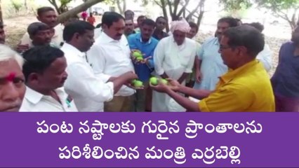 పాలకుర్తి: అకాల వర్షాలతో నష్టపోయిన పంటలను పరిశీలించిన మంత్రి