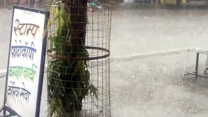 उम्मीदों पर ओलों की बारिश  : जमीन पर सफेद चादर, फसलें हुईं जलमग्न