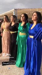 Turkish wedding Dance #shorts
