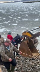 DFO Workers Help Dolphins Stuck in Ice