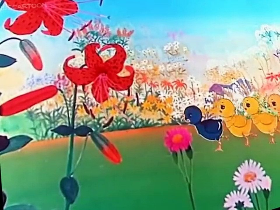 The Great Book Of Nature The Great Book Of Nature E009 – THE CHICKEN