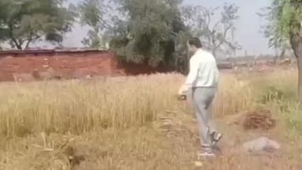शिवपुरी: ओलावृष्टि के बाद मौके पर पहुंचा प्रशासनिक अमला, नुकसान का लिया जाजया