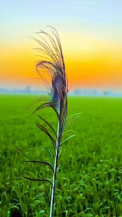Beautiful nature ❤️
