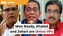 Wan Rosdy, Khaled and Johari are Umno VPs
