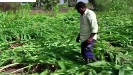 హుజురాబాద్: అకాల వర్షాలతో అంతా కోల్పోయాం.. మమ్మల్ని ఆదుకోండి సారు..!