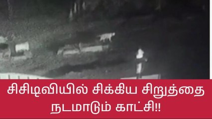 Descargar video: கோவை: சிறுத்தை நடமாடும் பரபரப்பு சிசிடிவி காட்சிகள் வெளியீடு