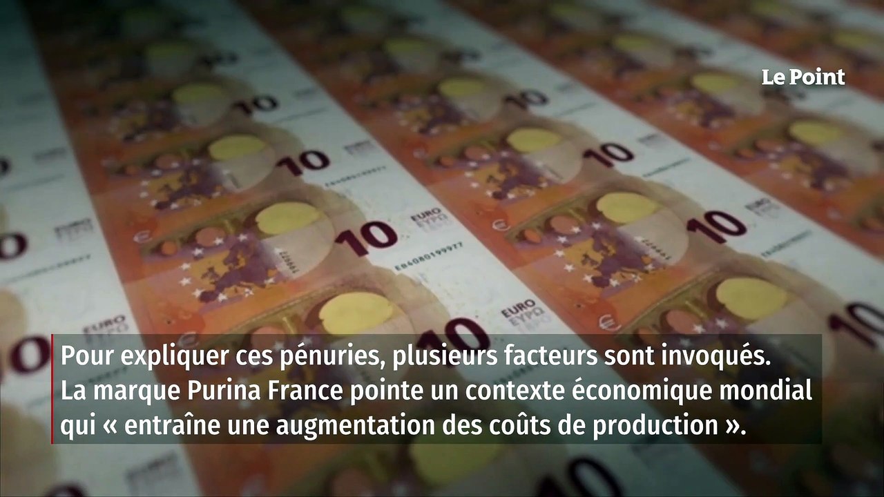 Pourquoi les croquettes pour animaux deviennent introuvables dans les rayons