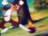 The Heckle and Jeckle Show The Heckle and Jeckle Show E005 – Cat Trouble