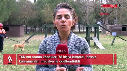 Sessiz kahramanlar! TSK’nın arama köpekleri 78 kişiyi kurtardı