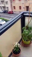Corteo a Piombino contro l'arrivo della "Golar Tundra"