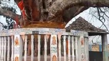 सिवान: पीपल पेड़ के नीचे 300 वर्षों से होता है जिन बाबा का पूजा, जानें आस्था है या अंधविश्वास