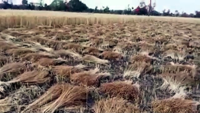 कोटा संभाग में ओलावृ​​ष्टि से किसानों में मचा हाहाकार, किसान ने दी जान