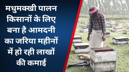 कटिहार: मधुमक्खी पालन व्यवसाय किसानों के लिए बना वरदान, कमाई जानकार हो जायेंगे हैरान
