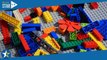 Vous allez adorer ces jeux de construction Lego Icons plantes