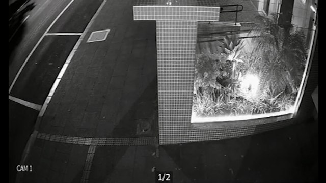 Imagens flagram ladrão furtando bicicleta após arrombar portão da garagem de prédio no centro