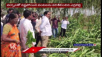 Minister Errabelli Dayakar Rao Inspects Crop Damage Due To Sudden Rains _ Mahabubabad _ V6 News
