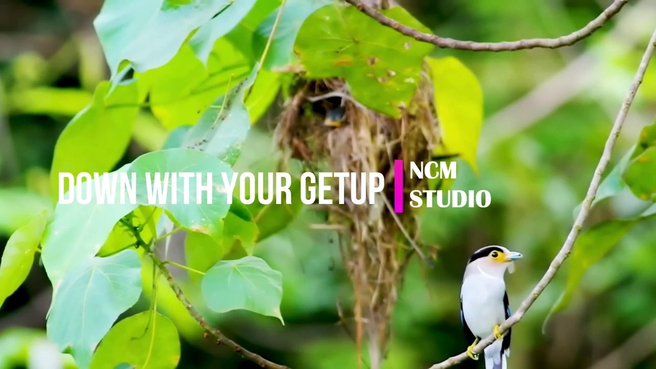 Down With Your Getup - Mini Vandals- RnB and Soul Music, Funky Music @NCMaterials