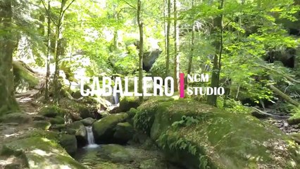 Caballero- by Ofshane - Pop Music - Romantic Music @NCMaterials