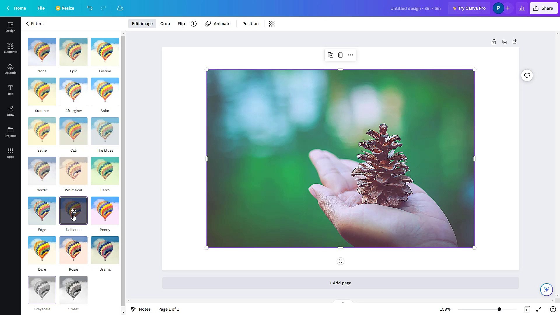 Canva Course Section 10 Image Filters
