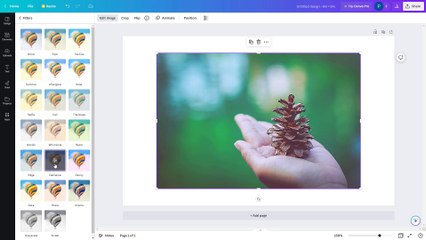 Canva Course Section 10 Image Filters