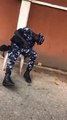 Trending video of Police officer sleeping at polling unit