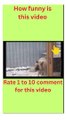 Funny cats funny dogs, funniest animal videos 2023, funny pets#shorts #trending #shortvideos