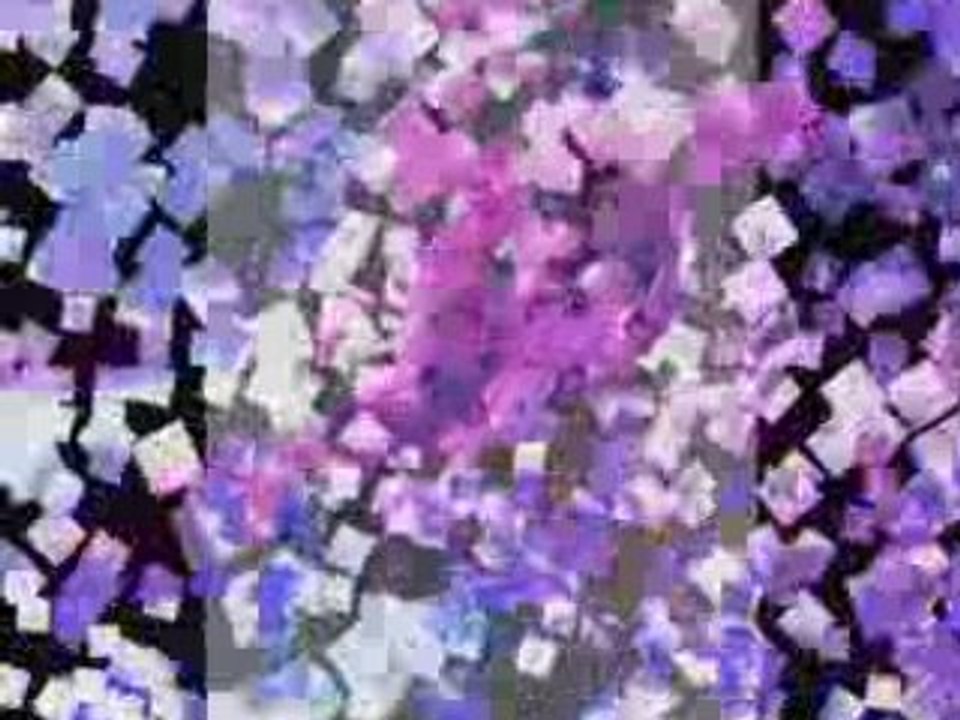 Amv de belles images