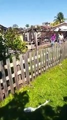Casal que perdeu tudo após incêndio em casa de Cafezal do Sul faz vaquinha para se reerguer