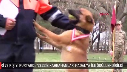 TSK'NIN ARAMA KÖPEKLERİ 78 KİŞİYİ KURTARDI; 'SESSİZ KAHRAMANLAR' MADALYA İLE ÖDÜLLENDİRİLDİ