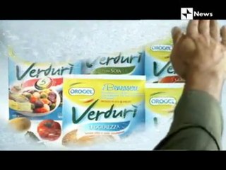 RAI News 24 - Pubblicità, Il Traffico, Meteo, Promo, Sigle e Notiziario (11/01/2011)