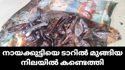 അടുപ്പൂട്ടിക്കുന്നത്ത് കണ്ടത് ദയനീയ കാഴ്ച്ച