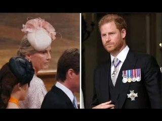Sophie "ha fatto conoscere i suoi sentimenti autentici" su Harry e Meghan - analisi del linguaggio