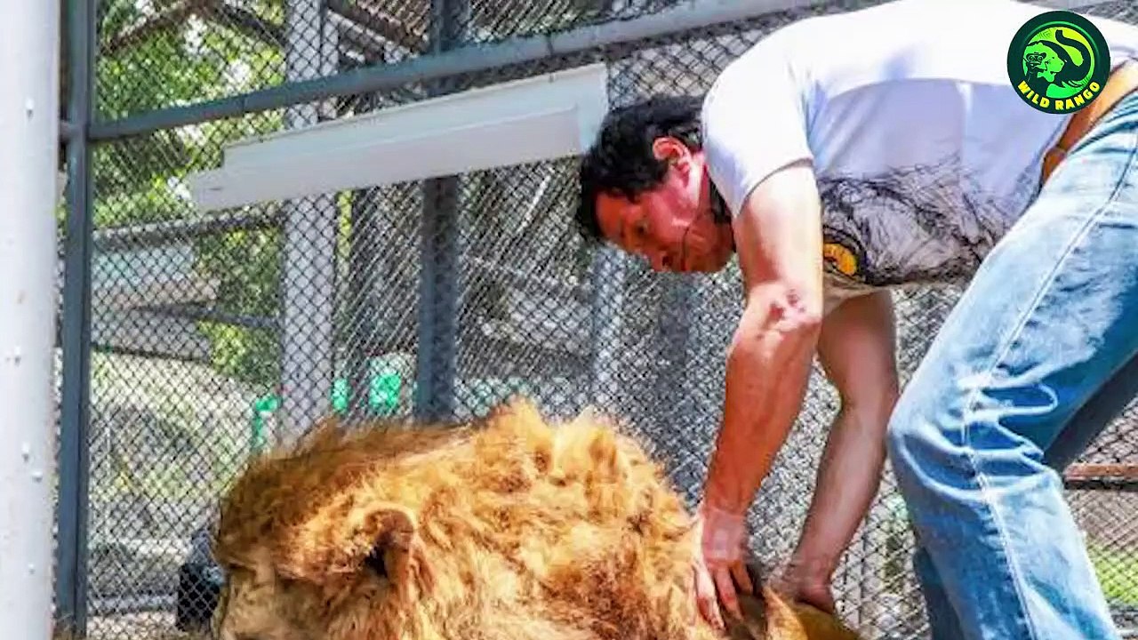 Animals Reunited with Their Owners After Years