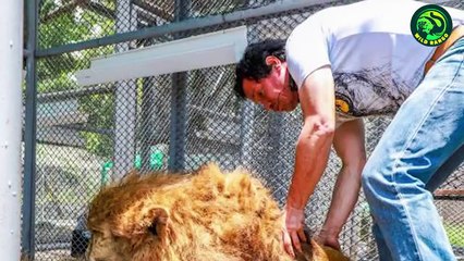 Animals Reunited with Their Owners After Years