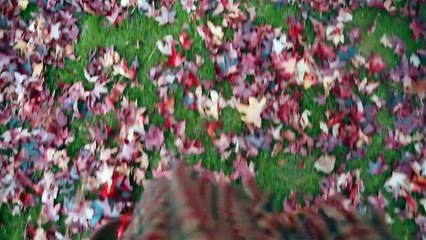 Enjoy Viewing This Beautiful Landscape