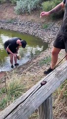 Retrieving Fish Can Be Messy