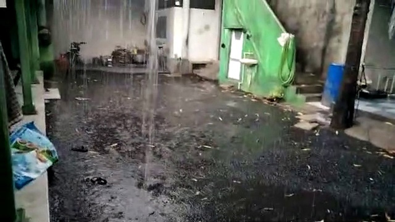बेमौसम की बारिश, फसलों पर गिरे ओले, नुकसान की आ...