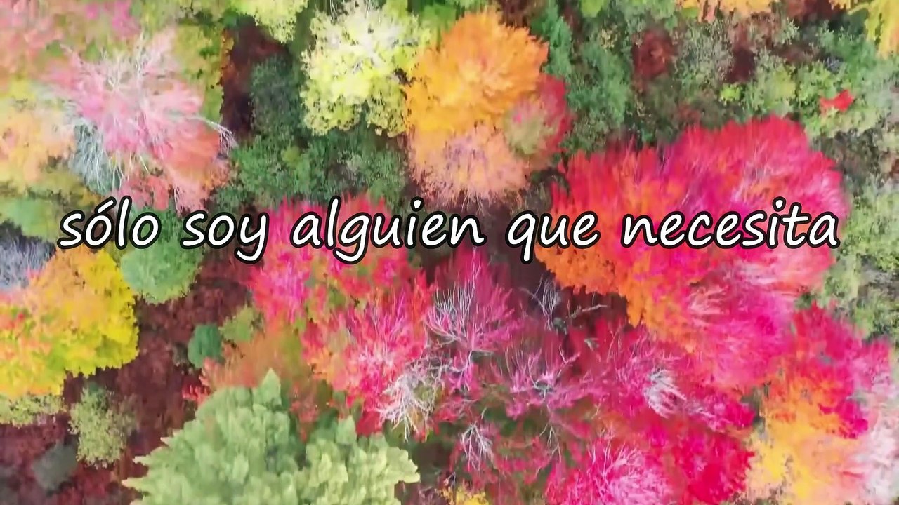 Medley Adoración El borde de Su manto Letra + Cuanto más te busco Letra Juan Carlos Alvarado - JeremiasPDD