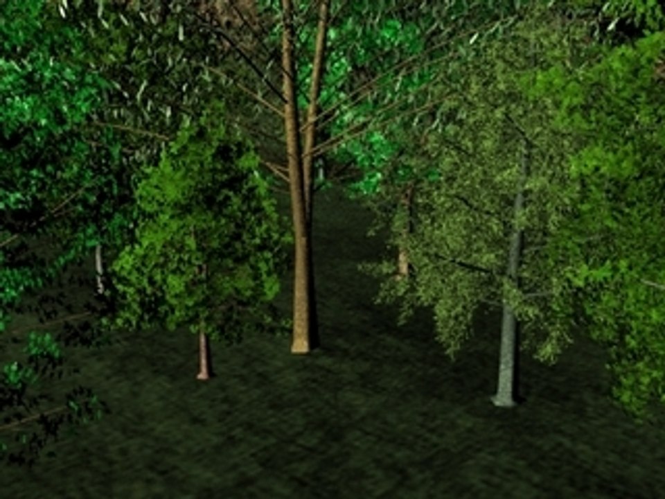 Twilight Drive