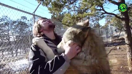 10 Surprising Moments When Dangerous Animals Caught Being Friendly