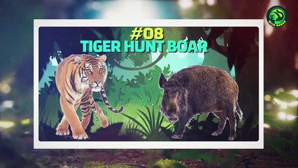 10 Most Brutal Hunts by Wild Animals You Have Never Seen Before